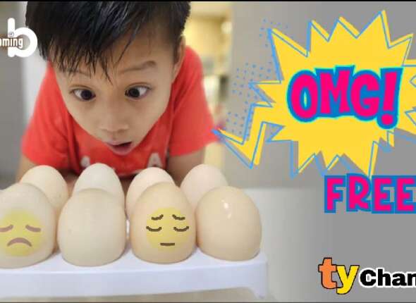 TY Channel OMG egg ty