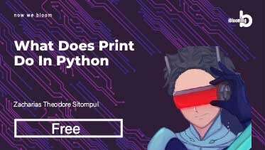 Zacharias What Does Print Do In Python