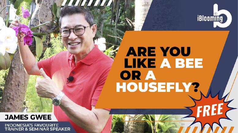 James Gwee – Are you like a Bee or Housefly