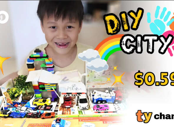 TY Channel Diy City