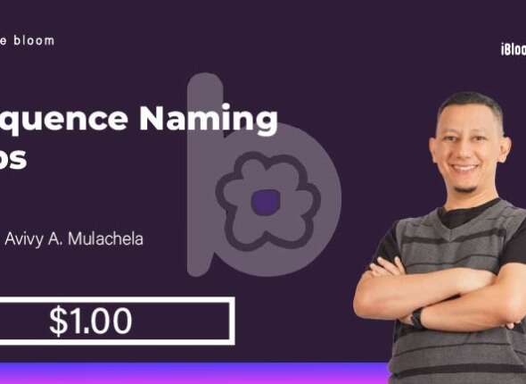 Syibly Sequence Naming Tips