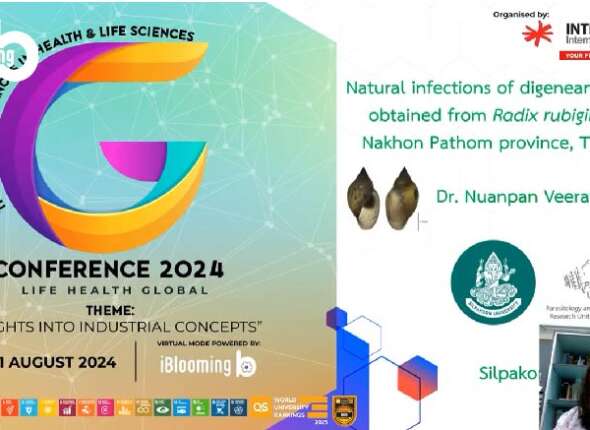 LifeHealth Global 2024