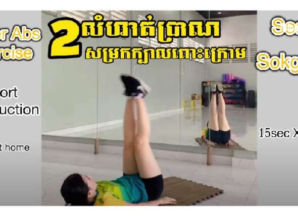 Lower abs exercise can do at home short introduction