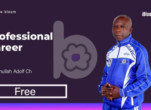 Professional Career