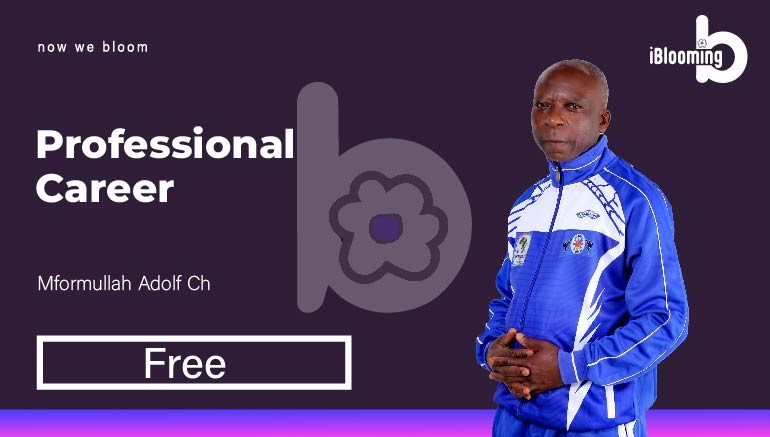 Mformuluh – Professional career