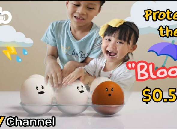 TY Channel Protect The Bloom