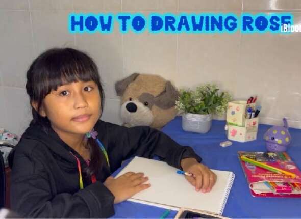 Drawing Rose