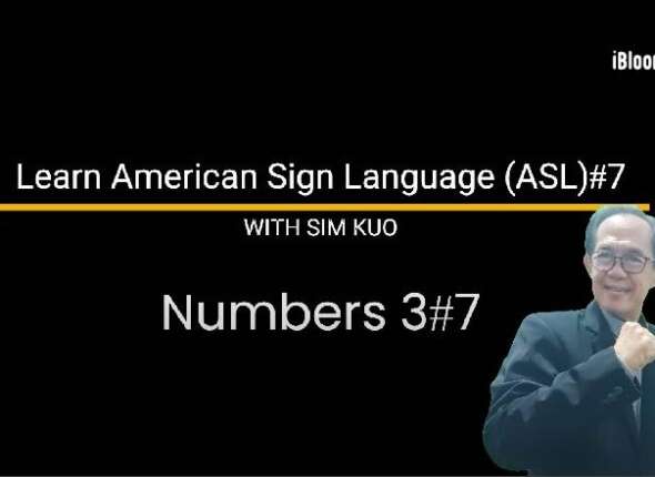 LSL7 Numbers 3 7  21 40