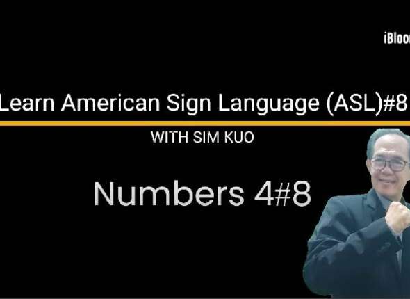 LSL8 Numbers 4 8  41 60