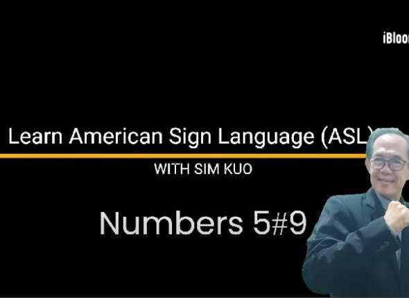 LSL9 Numbers 5 9  61 80