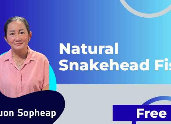 Natural Snakehead Fish