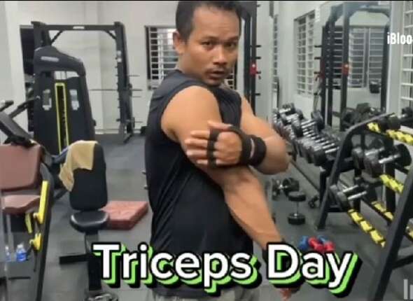 Triceps Day