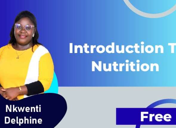 Introduction To Nutrition