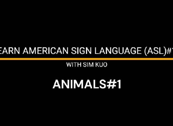 Learn American Sign Language (ASL) Animals