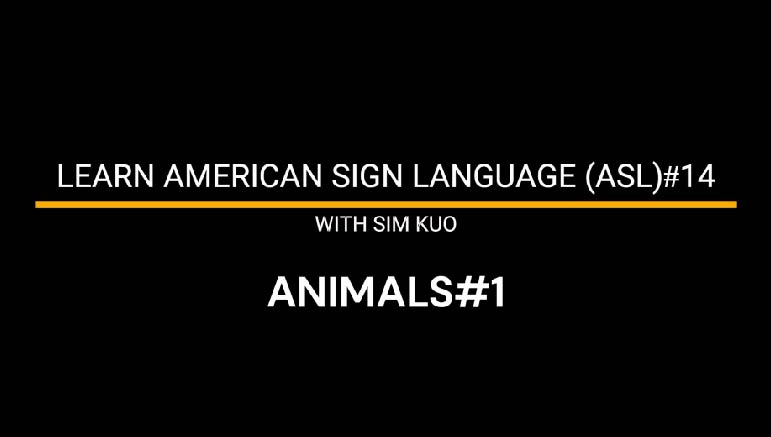 Learn American Sign Language (ASL) with Sim Kuo – 1. Learn American Sign Language (ASL)#14 – Animals#1