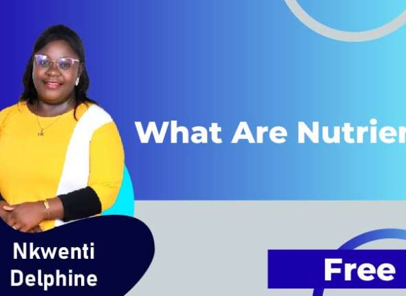 What Are Nutrients