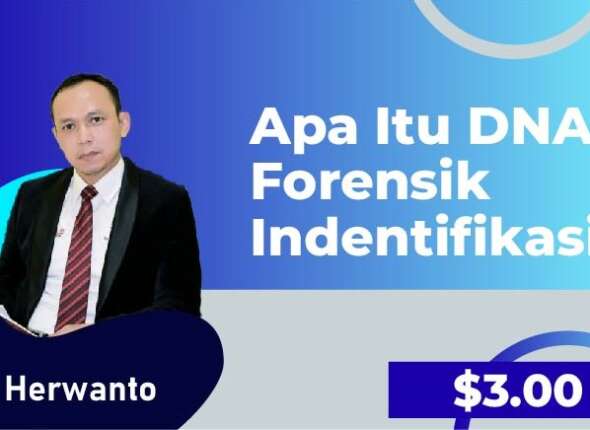 Introduction Video