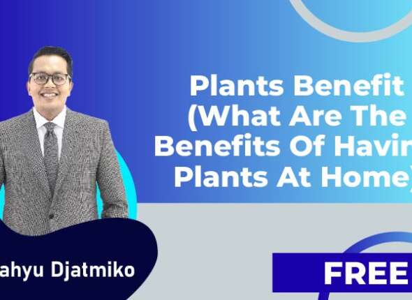Plants Benefit What are the Benefits of Having Plants at Home