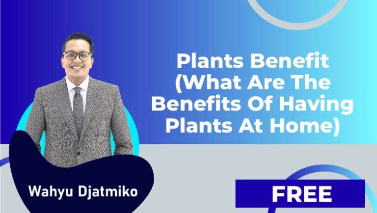 Wahyu Djatmiko – Video 5 : Plants Benefit (What are the Benefits of Having Plants at Home)