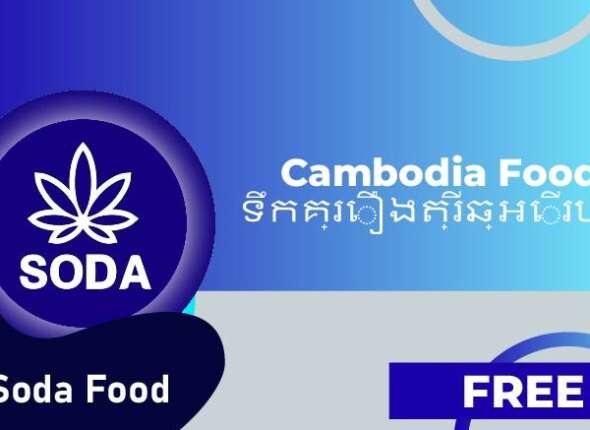 Introduce SODA FOOD Vegetables & Fruits Purifier