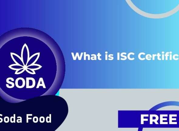 Introduce SODA FOOD Vegetables & Fruits Purifier