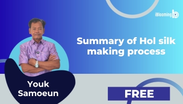 02. Summary of Hol silk making process