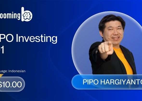 Bundle PIPO Investing 101