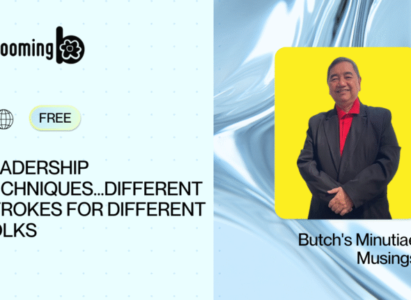04. Leadership techniques...different strokes for different folks