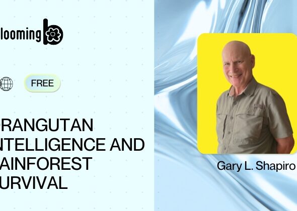 1) Orangutan Intelligence and Rainforest Survival