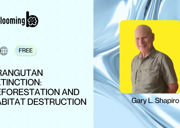 2) Orangutan Extinction_ Deforestation and Habitat Destruction