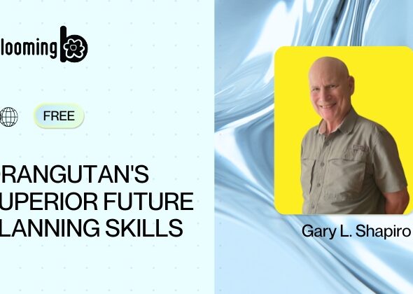 3) Orangutan's Superior Future Planning Skills