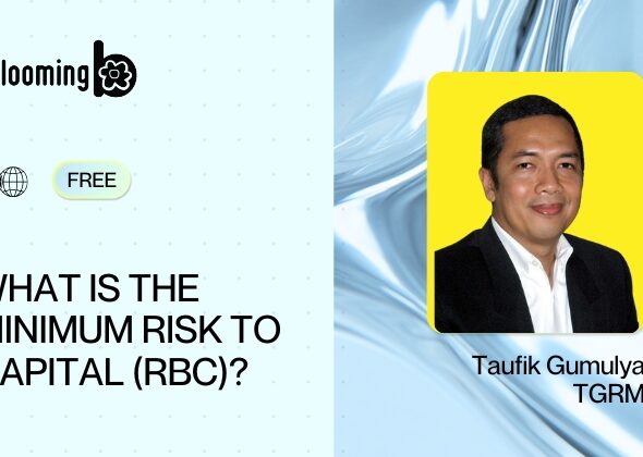 5. What is the Minimum Risk to Capital (RBC)