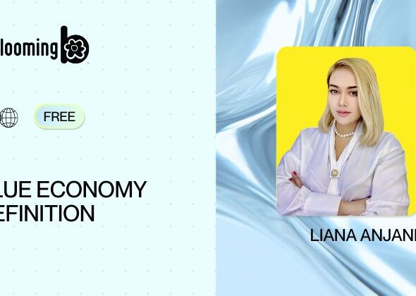 2 - BLUE ECONOMY DEFINITION