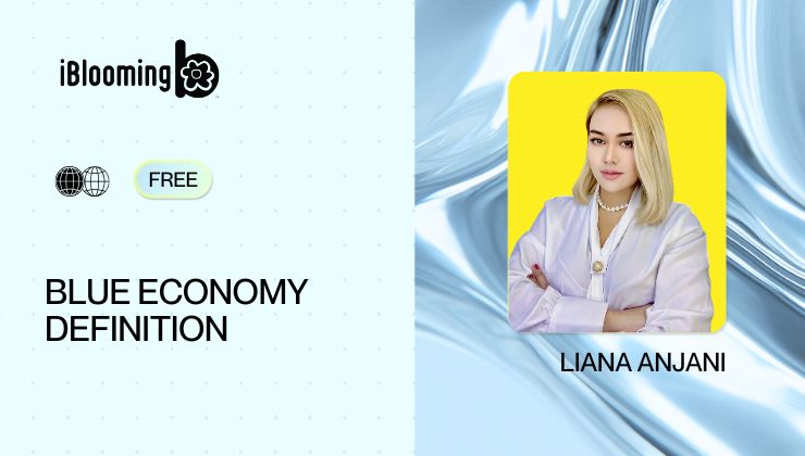 2 - BLUE ECONOMY DEFINITION