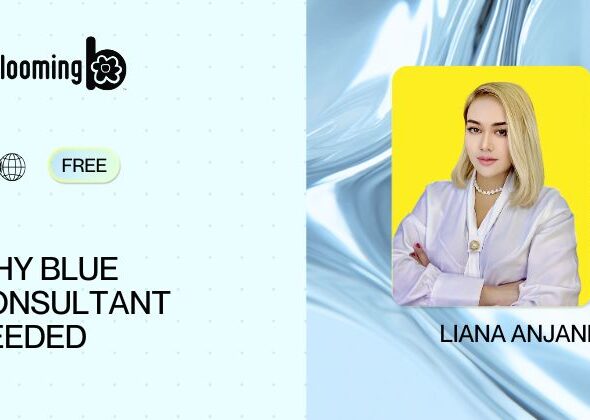 3 - WHY BLUE CONSULTANT NEEDED