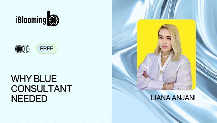 3 - WHY BLUE CONSULTANT NEEDED