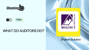 4. What do auditors do