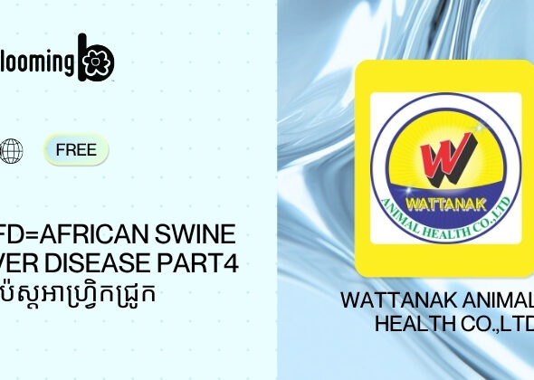 5. ASFD=African swine fever disease Part4 ជំងឺប៉េស្តអាហ្វ្រិកជ្រូក