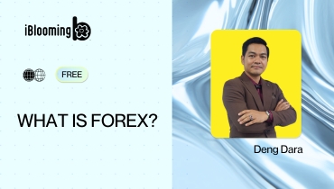 2 What is FOREX