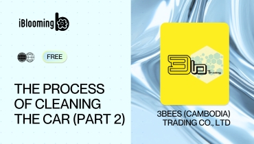 5. The Process of Cleaning the car(Part2)