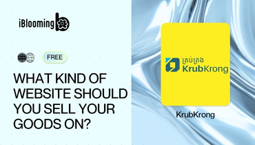 2. What kind of website should you sell your goods on